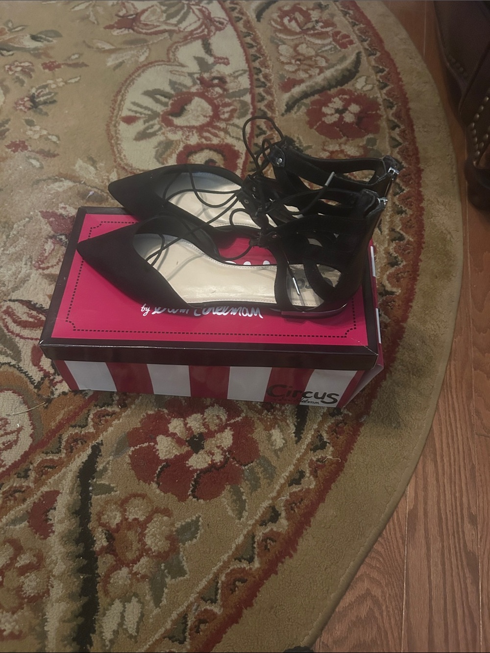 Circus by Sam Edelman Black Lace-Up Pointed Toe Flats